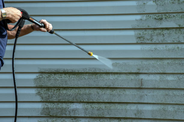 Best Gutter Cleaning  in White Sulphur Springs, MT